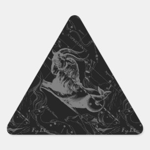 Capricorn Constellation Karta Hevelius Engrave Triangelformat Klistermärke