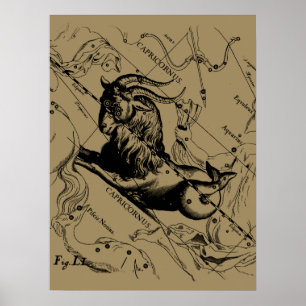 Capricorn Constellation Vintage Engrave Hevelius Poster