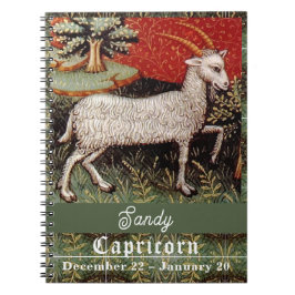 Capricorn - Goat Zodiac-Födelsedagsfesten Anteckningsbok