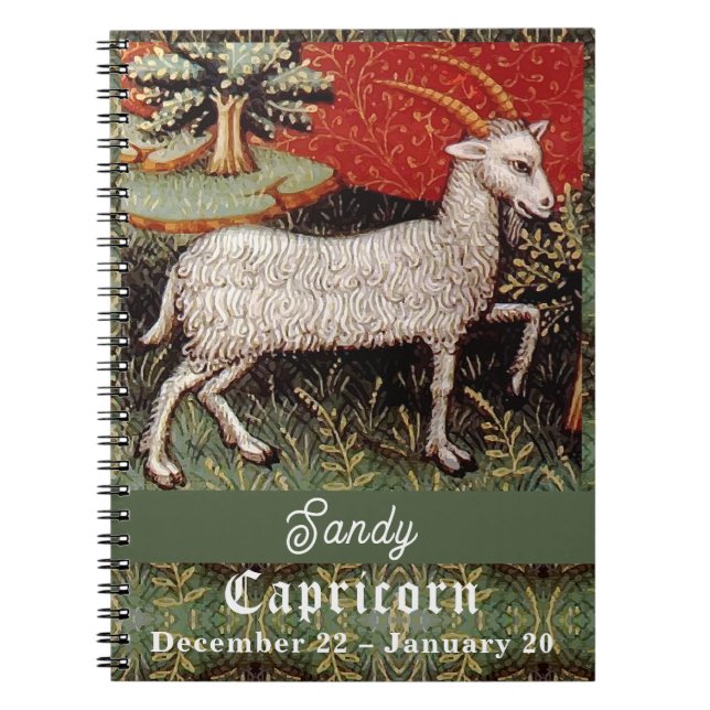 Capricorn - Goat Zodiac-Födelsedagsfesten Anteckningsbok (Framsidan)