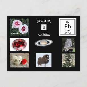 Capricorn Januari-födelsedags vykort