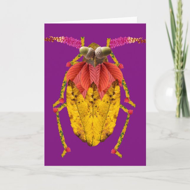 Capricorn Kort (Framsida)