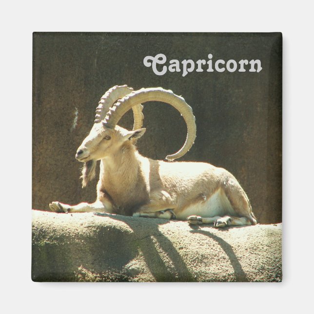 Capricorn Magnet! Magnet (Framsidan)