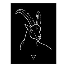 Capricorn