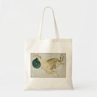 Capricorn tobag tygkasse