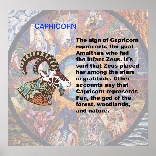 Capricorn ursprung Poster (Framsidan)