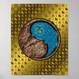 Capricorn & Vatten Dragon Poster