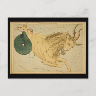 Capricornus (Capricorn) Vykort