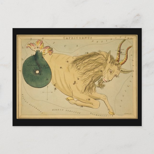 Capricornus (Capricorn) Vykort (Framsida)