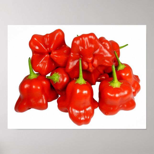 Capsicum Chinense Chili Poster (Framsidan)