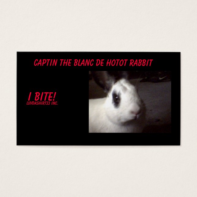 Captin001, Captin the Blanc De Hotot Rabbit, I... Visitkort (Framsidan)