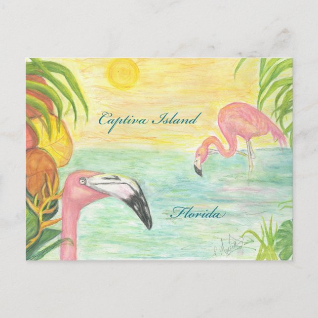 Captiva Island Flamingos Florida Art Vykort (Framsida)