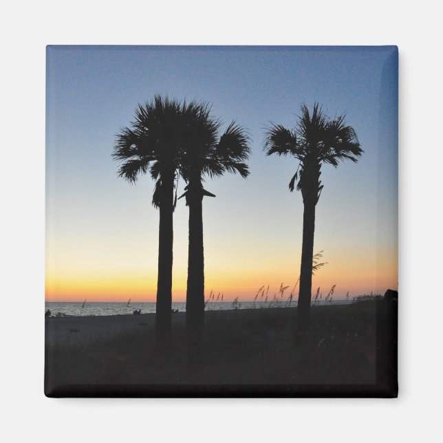 Captiva Island Handflatan Träd vid Sunset Florida  Magnet (Framsidan)