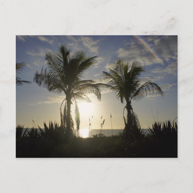 Captiva Island Vykort (Framsida)