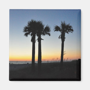 Captiva öpalmträd på den solnedgångFlorida Magnet