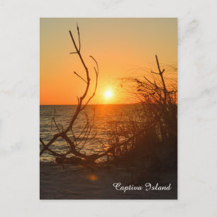 Captiva Sunset-vykort Vykort