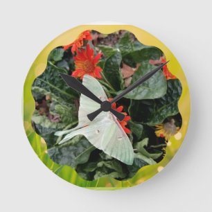 Captivating Luna Moth Rund Klocka