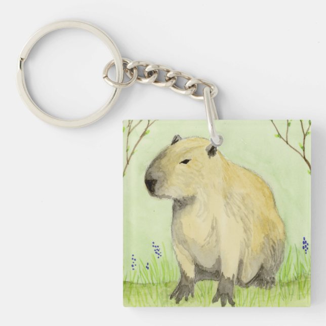 Capybara (Framsidan)