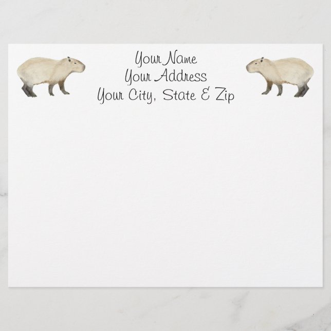 Capybara (Framsida)