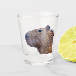 Capybara