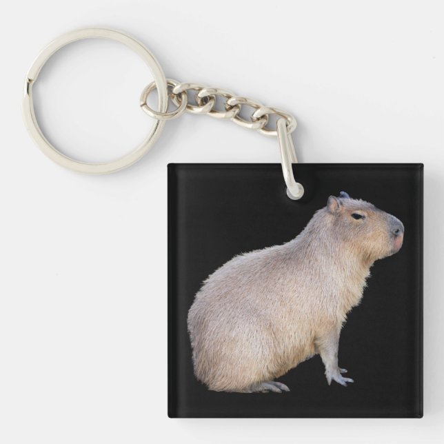 Capybara (Framsidan)