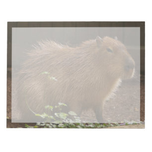 Capybara Anteckningsblock