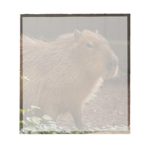Capybara Anteckningsblock
