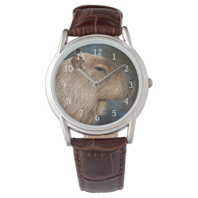 Capybara Armbandsur (Framsida)