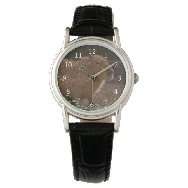 Capybara Armbandsur (Framsida)