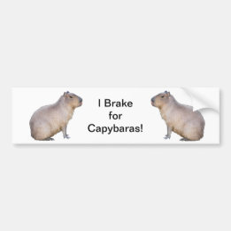 Capybara Bildekal