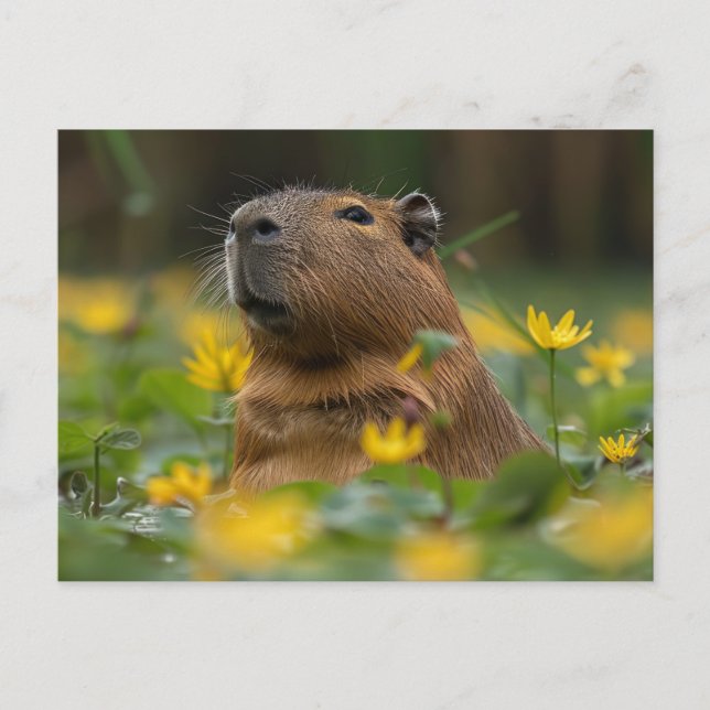 Capybara Bland Gult Vatten Lilies Vykort (Framsida)