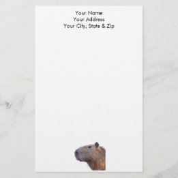 Capybara Brevpapper