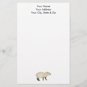 Capybara Brevpapper