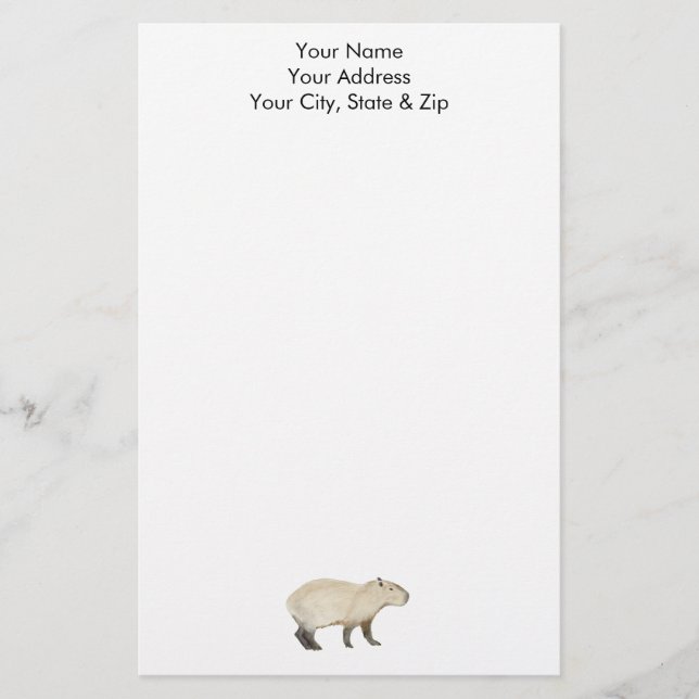 Capybara Brevpapper (Framsida)