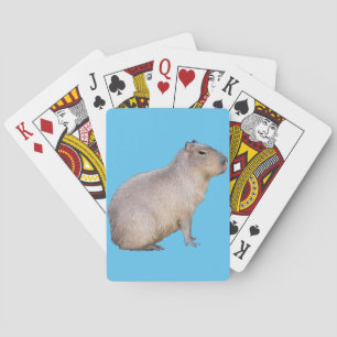 Capybara Casinokort