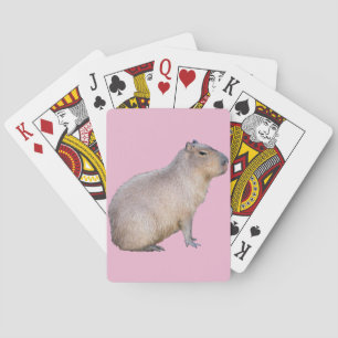 Capybara Casinokort