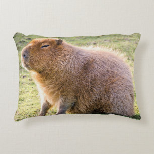 Capybara Cushion Prydnadskudde
