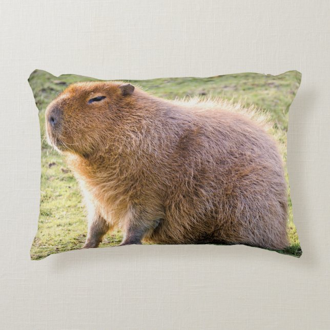 Capybara Cushion Prydnadskudde (Framsidan)