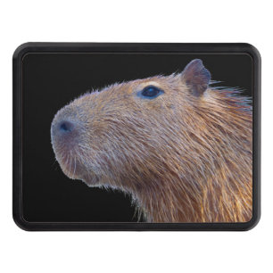 Capybara Dragkroksskydd