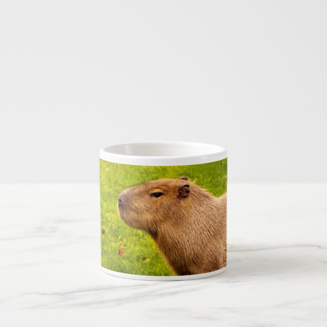Capybara Espressomugg (Framsidan)