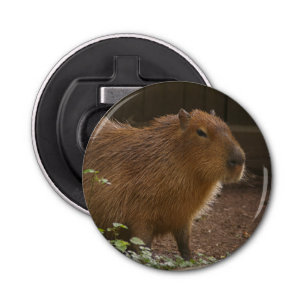 Capybara Flasköppnare