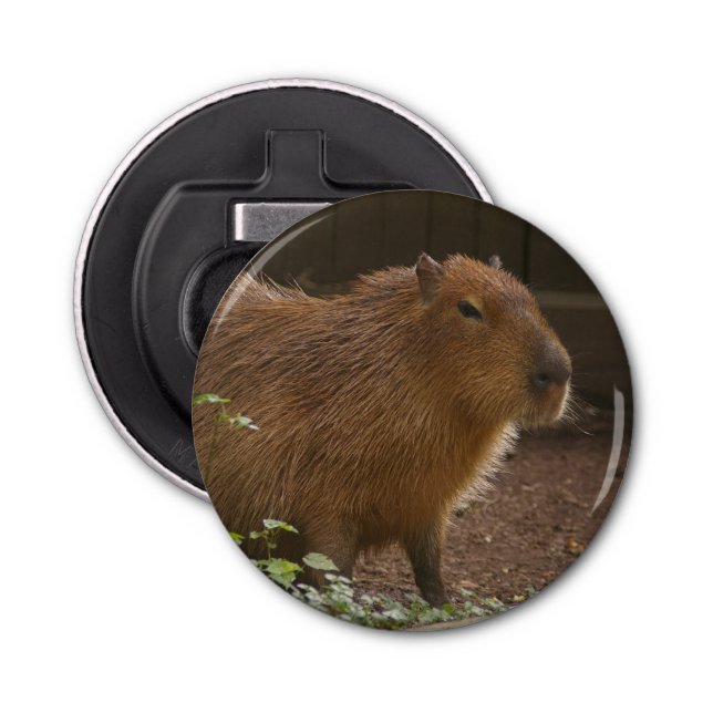 Capybara Flasköppnare (Framsidan)
