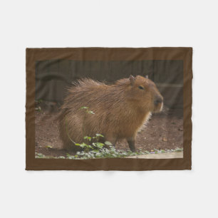 Capybara Fleecefilt