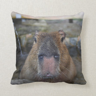Capybara för japanhettvår kudde