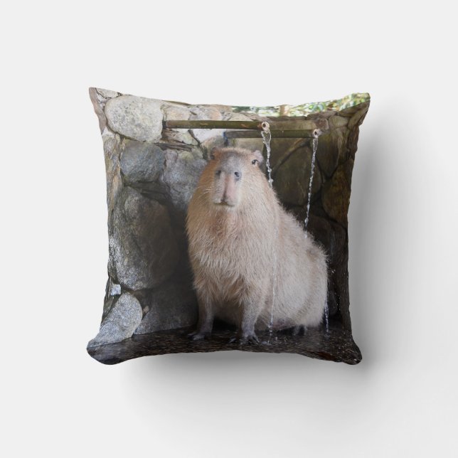 Capybara för japanhettvår kudde (Framsida)