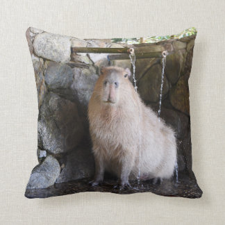Capybara för japanhettvår kudde