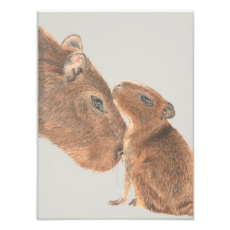 Capybara Fototryck