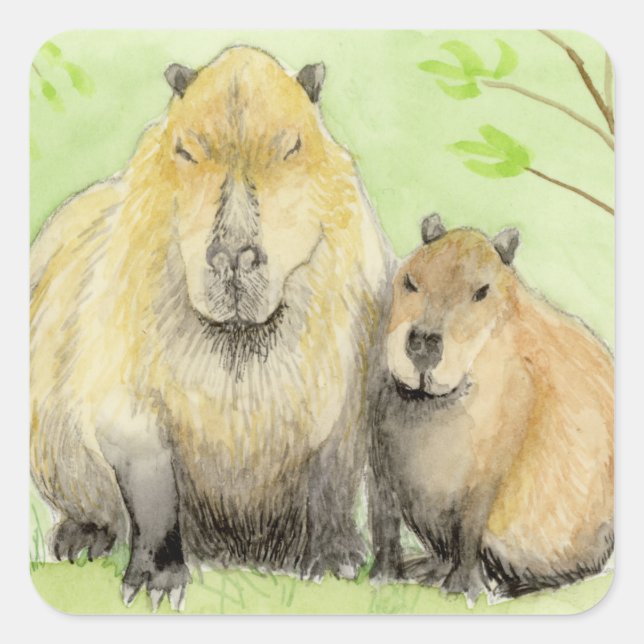 Capybara Fyrkantigt Klistermärke (Framsida)