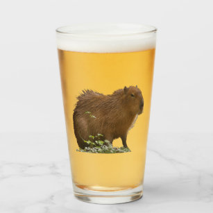 Capybara Glaskopp