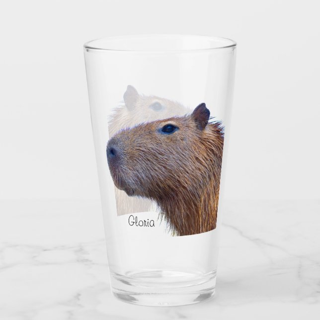 Capybara Glaskopp (Framsida)